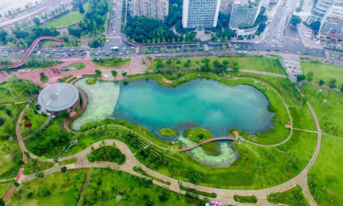 公园城市 花重锦城——2020年成都公园城市国际花园节 绽放桂溪