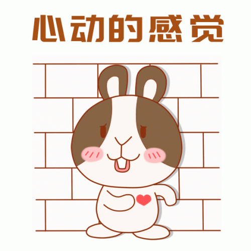  11.11省钱预警丨德国达人阿福吃饭不刷碗的秘密，原来是...