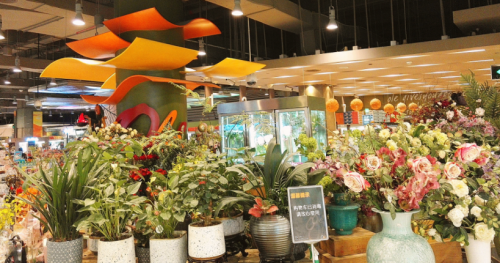  11.11省钱预警丨德国达人阿福吃饭不刷碗的秘密，原来是...