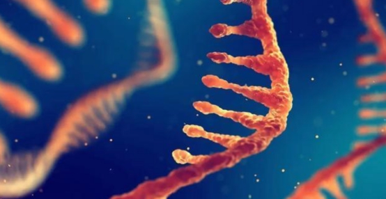 入选双创周“创世技”颠覆性创新榜 百度LinearDesign力克全球难题