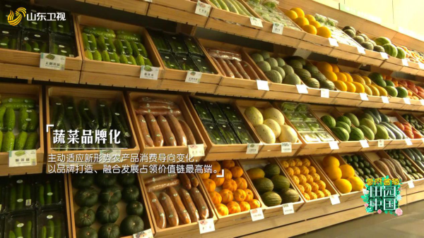《田园中国》解锁“寿光速度” 1分钟卖出8256公斤蔬菜