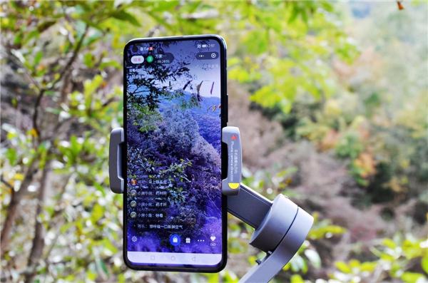 茱萸红、银杏黄直播对焦伏牛山，领略仲景宛西药材基地深秋之美