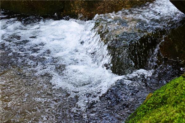 茱萸红、银杏黄直播对焦伏牛山，领略仲景宛西药材基地深秋之美
