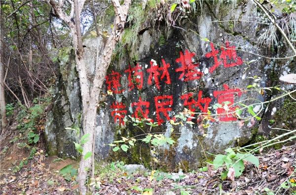 茱萸红、银杏黄直播对焦伏牛山，领略仲景宛西药材基地深秋之美