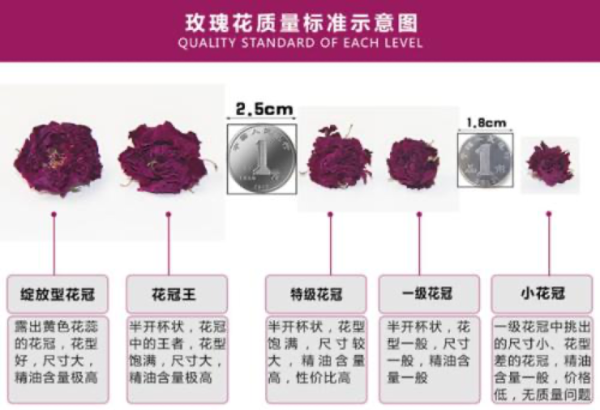 玫瑰花茶分等级吗？羽心堂凡多姆玫瑰兼具颜值和功效