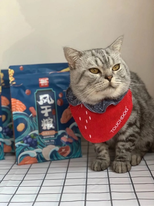 风干粮有没有必要买？豆柴告诉你不买才后悔！