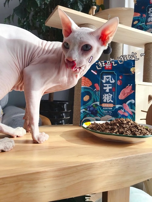 风干粮有没有必要买？豆柴告诉你不买才后悔！