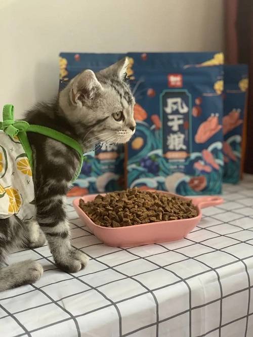 风干粮有没有必要买？豆柴告诉你不买才后悔！