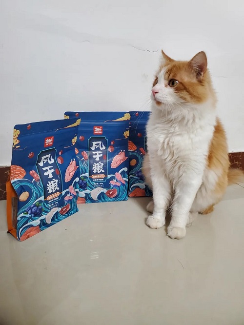 风干粮有没有必要买？豆柴告诉你不买才后悔！