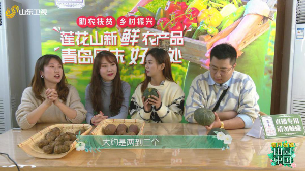 《田园中国》即墨龙泉邂逅香草花海 花饽饽成致富“金钥匙”