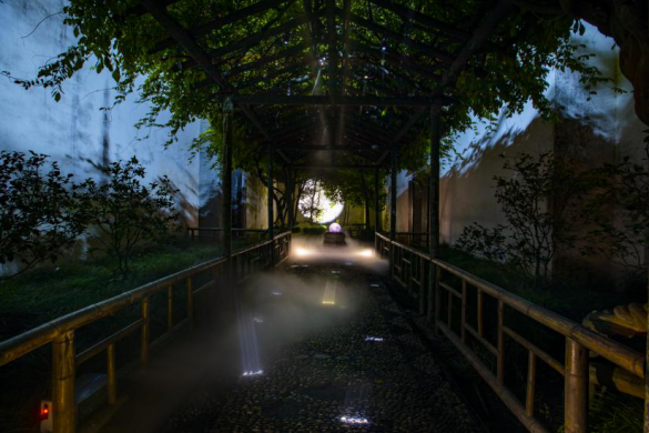 苏州园林博物馆馆长薛志坚谈拙政园夜游项目拙政问雅