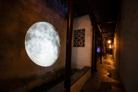 苏州园林博物馆馆长薛志坚谈拙政园夜游项目拙政问雅