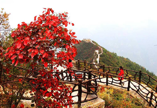 巫山11项活动助兴红叶节，13条线路尽赏红叶美景！
