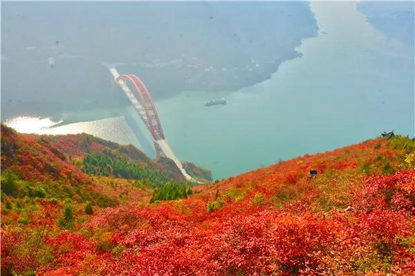 巫山11项活动助兴红叶节，13条线路尽赏红叶美景！