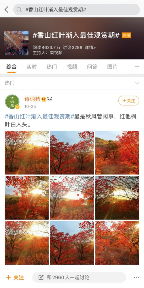 北京香山红叶迎来观赏高峰，铂爵旅拍丈量更多北京美景