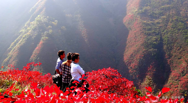  巫山，红了！