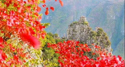  巫山，红了！