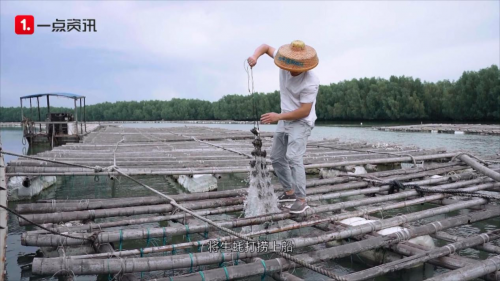 《麻章有一点神奇》第4期：吃完麻章的烧猪后，我彻底爱上了湛江美食