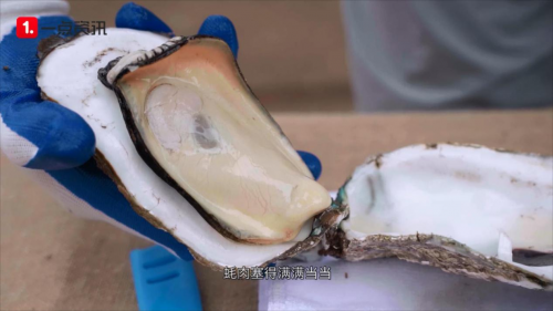 《麻章有一点神奇》第4期：吃完麻章的烧猪后，我彻底爱上了湛江美食