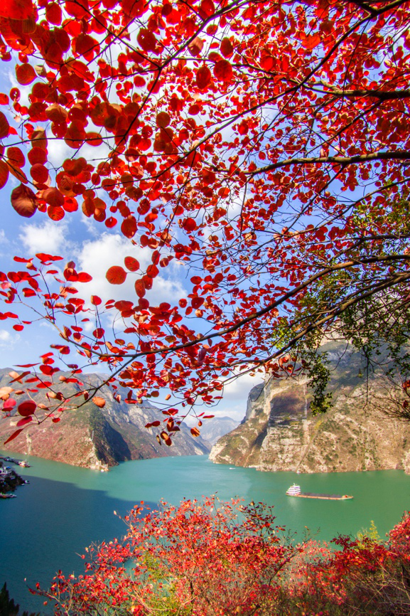 中国·重庆巫山红叶节即将开幕，《巫山神女》庆典版全新待发！ 巫山神女
