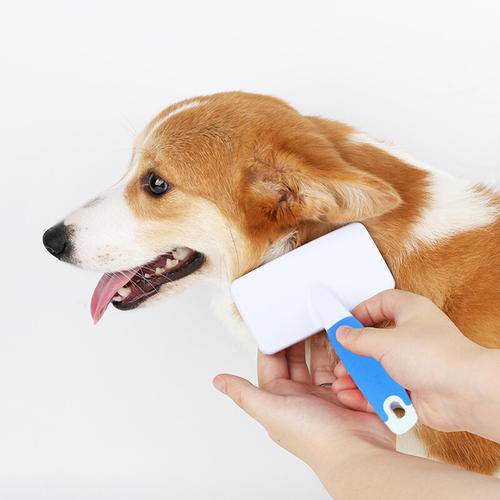 Beko倍科洗地机P3，引领清洁时尚新潮流