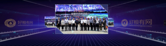 山东省粮食和物资储备局助推粮油产业数字化转型 开启粮油市场新征程