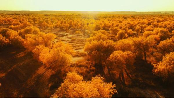 跟着史诗大剧《大秦赋》重新认识乌尔禾