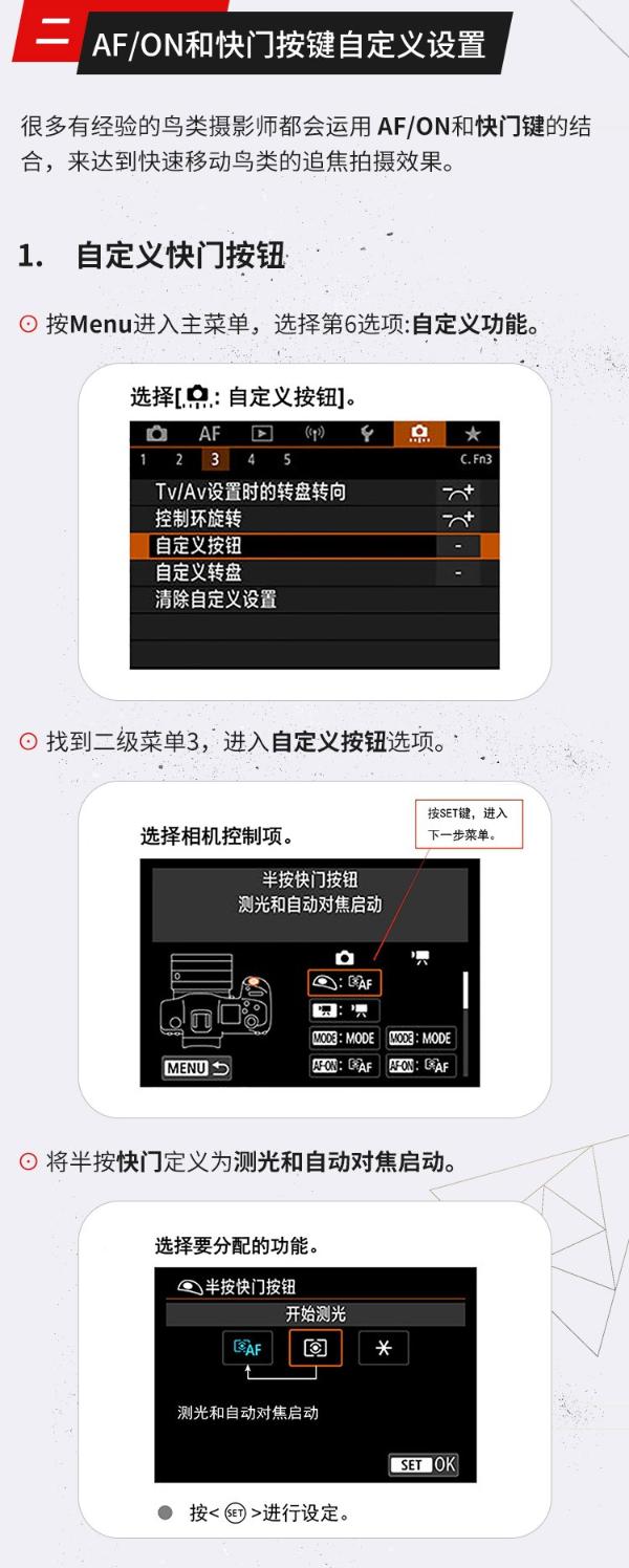 专微时代 EOS R5鸟类与动物拍摄攻略解析
