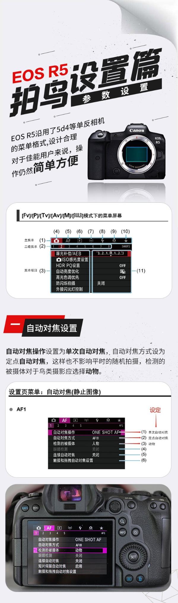 专微时代 EOS R5鸟类与动物拍摄攻略解析