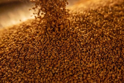 好记有机酱油革弊鼎新，用认证量见证大众的认可