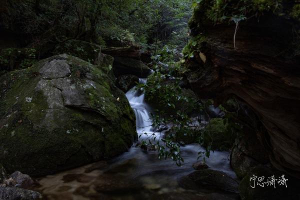 佳能RF卡口发展已过两年 再说为什么我推荐佳能全画幅微单
