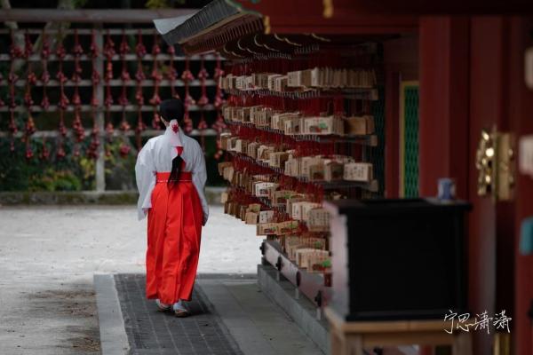 佳能RF卡口发展已过两年 再说为什么我推荐佳能全画幅微单