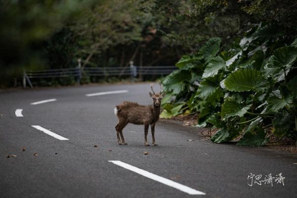 佳能RF卡口发展已过两年 再说为什么我推荐佳能全画幅微单