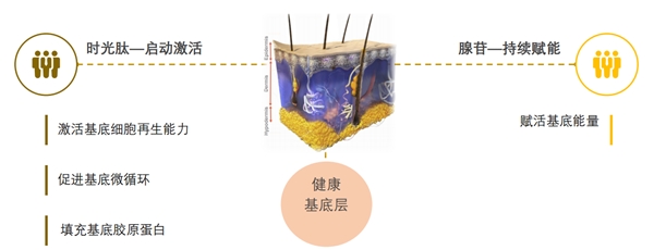 12.12， 科洱美×BOOM！FRESH！源自清华大学的科学范式护肤之美