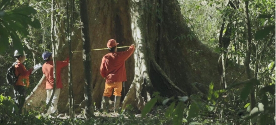  大自然地板获拓格奖最高等级A+认证，荣膺“严选绿色家居产品”