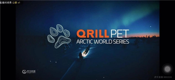 冰雪世界大冒险，《狗拉雪橇北极系列赛》直播首映，实力萌宠上线