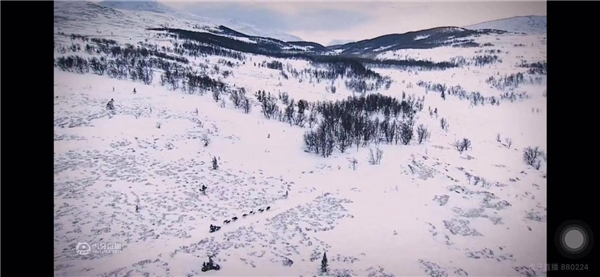 冰雪世界大冒险，《狗拉雪橇北极系列赛》直播首映，实力萌宠上线