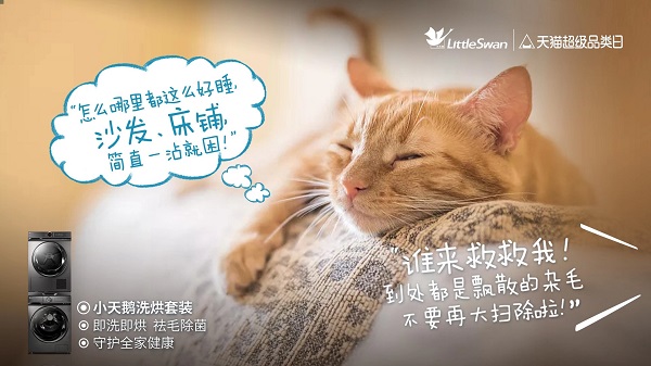 爱宠人士看过来！小天鹅洗烘套装拯救你的“崩溃瞬间”