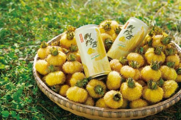 国务院扶贫办刘永富会见李楚源 刺柠吉帮扶刺梨产业成果再获肯定