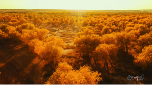 《大秦赋》震撼来袭，火遍全网的明星同款取景地——乌尔禾，等你来打卡