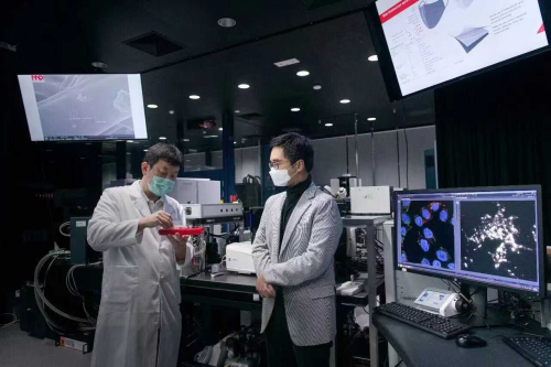  郑志刚凭什么登顶 ArtReview 榜单全球第一收藏家