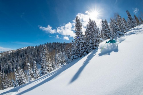 犹他滑雪月开启冬日冒险