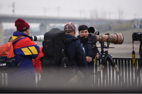 速来看大片！“2020西咸新区能源金贸区冬日观鸟摄影之旅”活动成功举行
