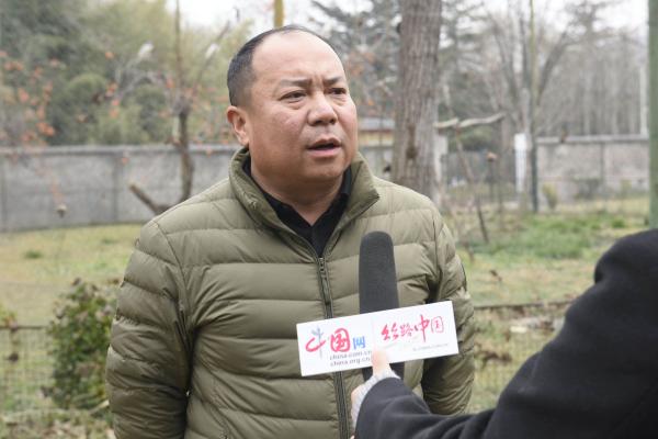  7年精心保护 “铜川籍”朱鹮数量已增加到105只