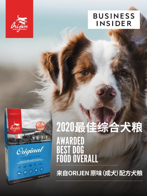 全美顶级商业新闻网站之一《商业内幕》评选2020最佳综合犬粮
