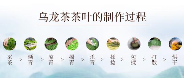 三得利乌龙茶新装升级，变帅不变心，这么潮的乌龙茶你见过吗？