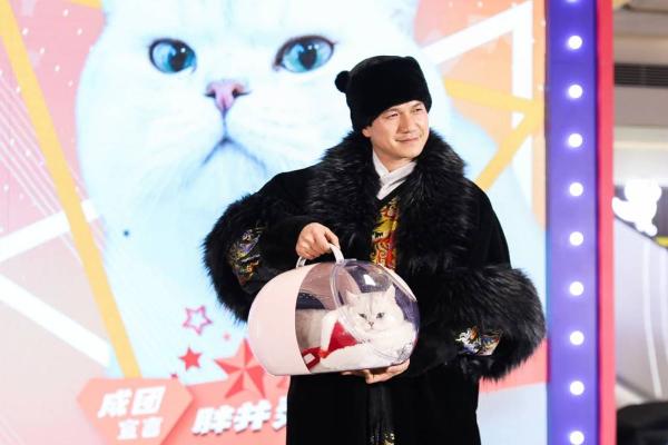 猫咖界迪士尼乐园CATTING首登杭城，猫咪成团夜燃爆跨年