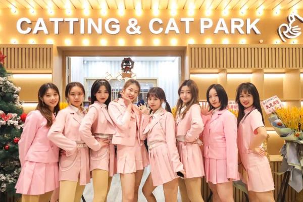 猫咖界迪士尼乐园CATTING首登杭城，猫咪成团夜燃爆跨年