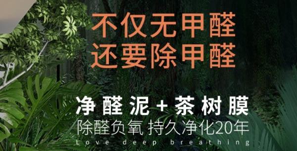 LOVE YOUNG爱尚氧芭净醛泥全天循环净化，打造健康居家环境