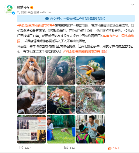 知名动物园疫情期间亏损3000万后续：微公益上线动物助养项目